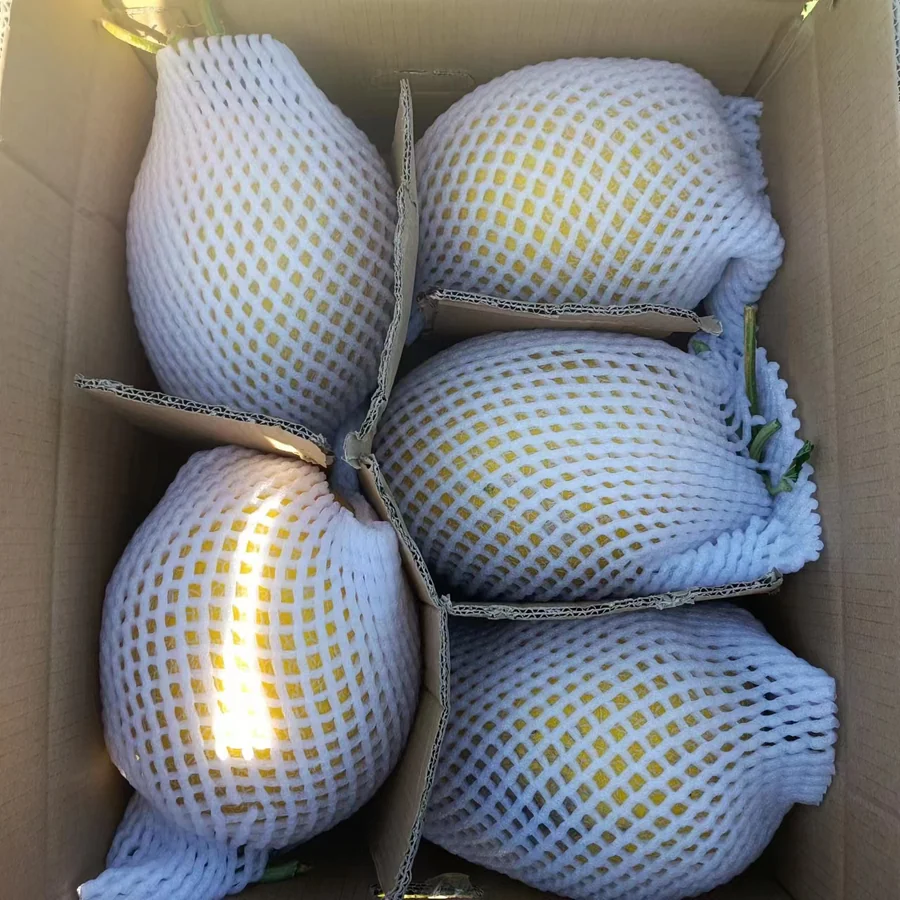 Fresh produce packed for shipment